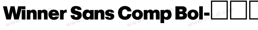 Winner Sans Comp Bol字体转换